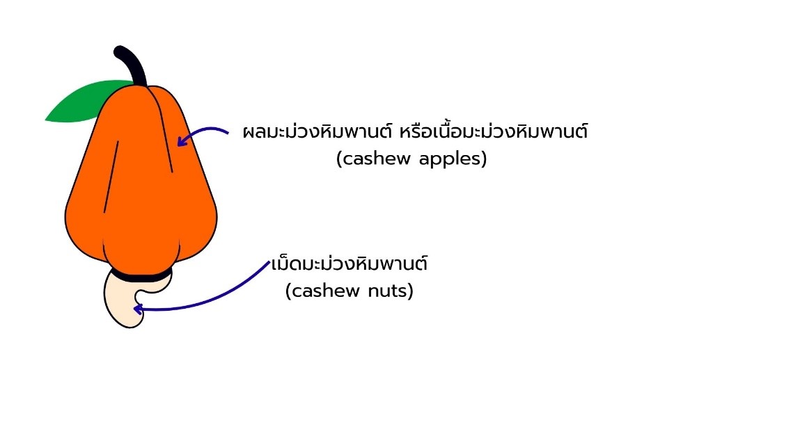 faq-jam-jelly-12.jpg
