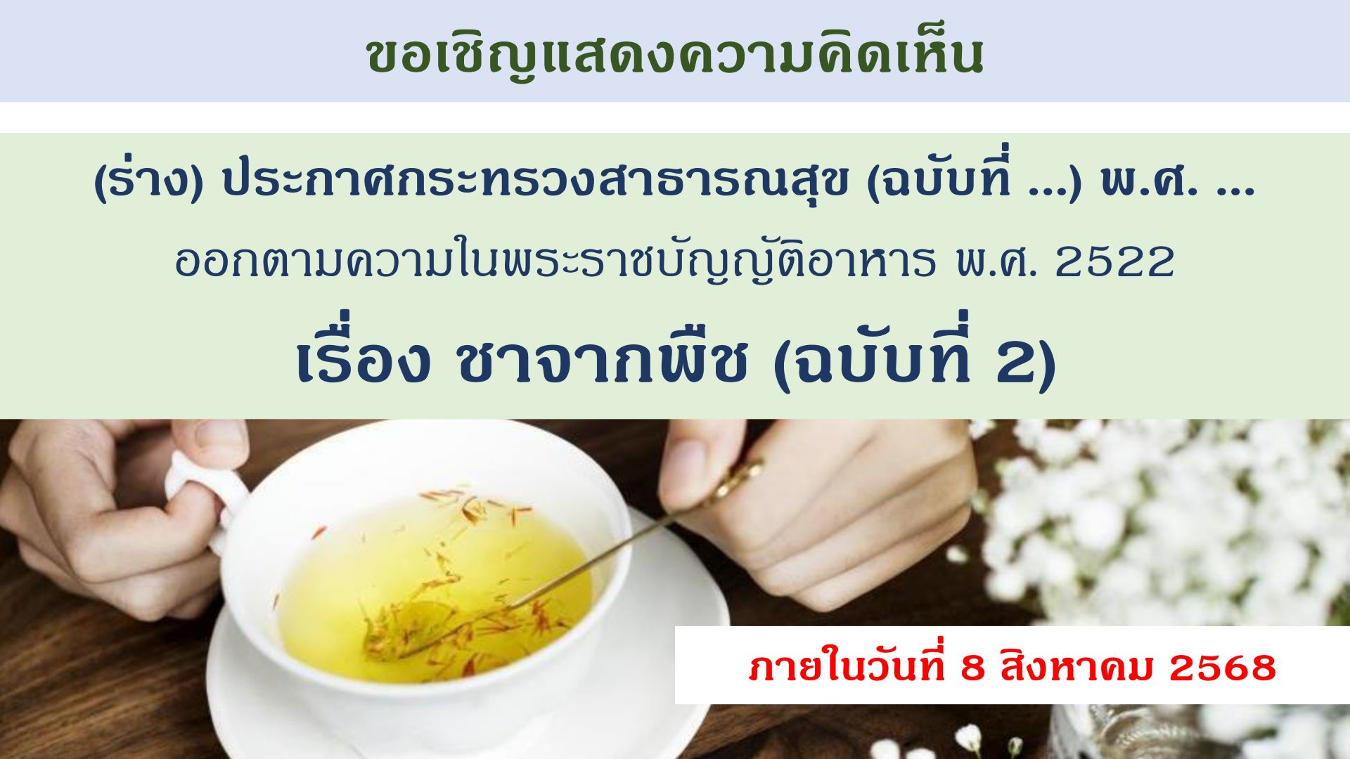 banner-tea-plants2.jpg