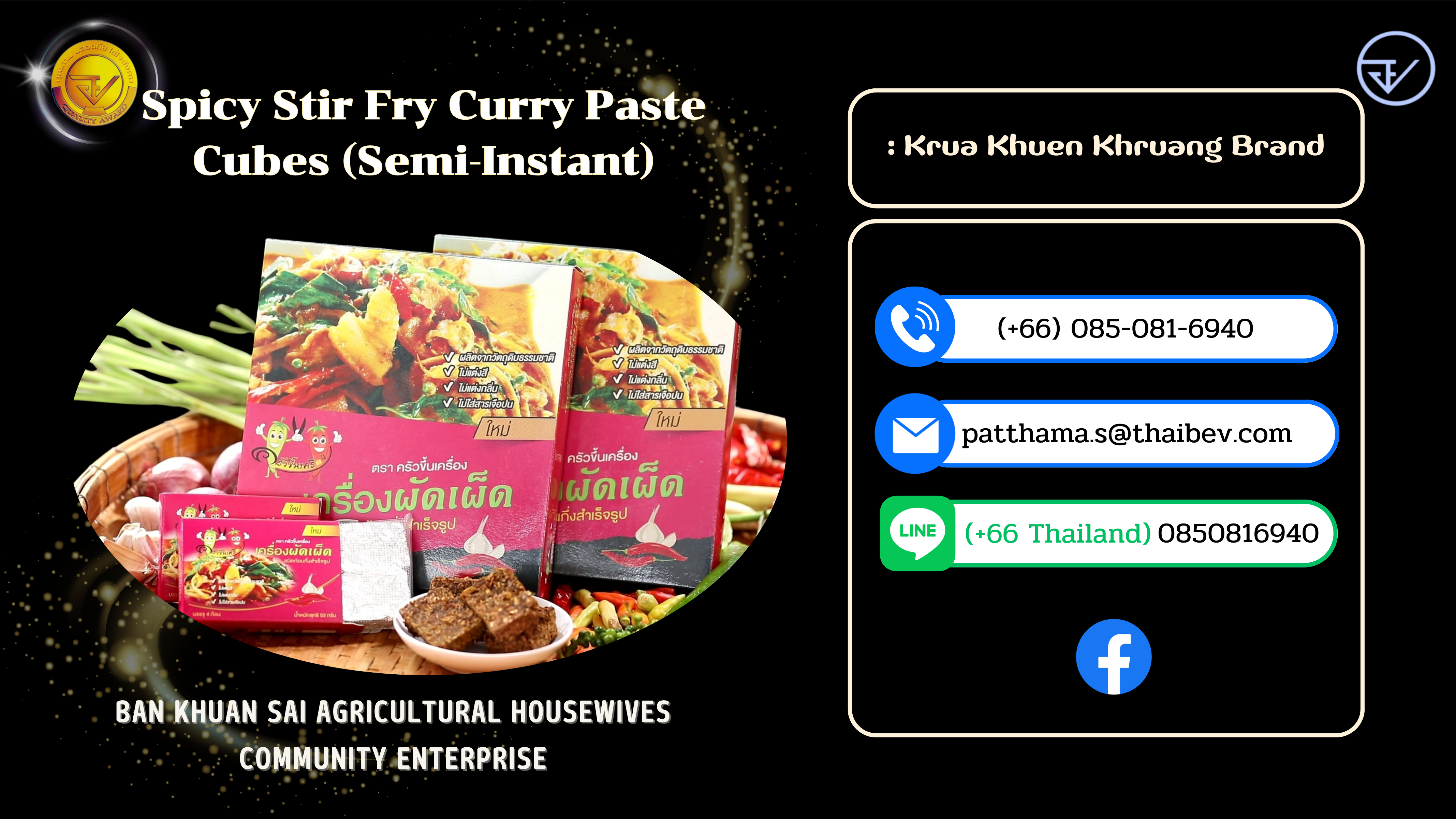 08X.Spicy Stir Fry Curry Paste Cubes (Semi-Instant).png