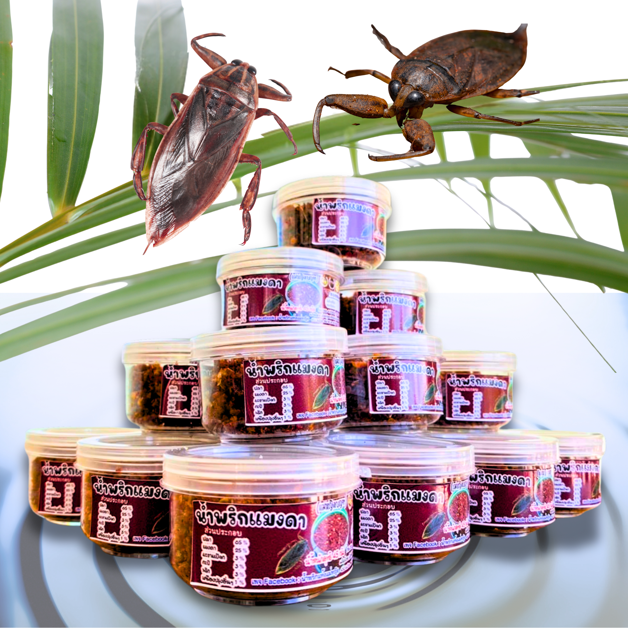 68.Giant Water Bug Chilli Paste.png