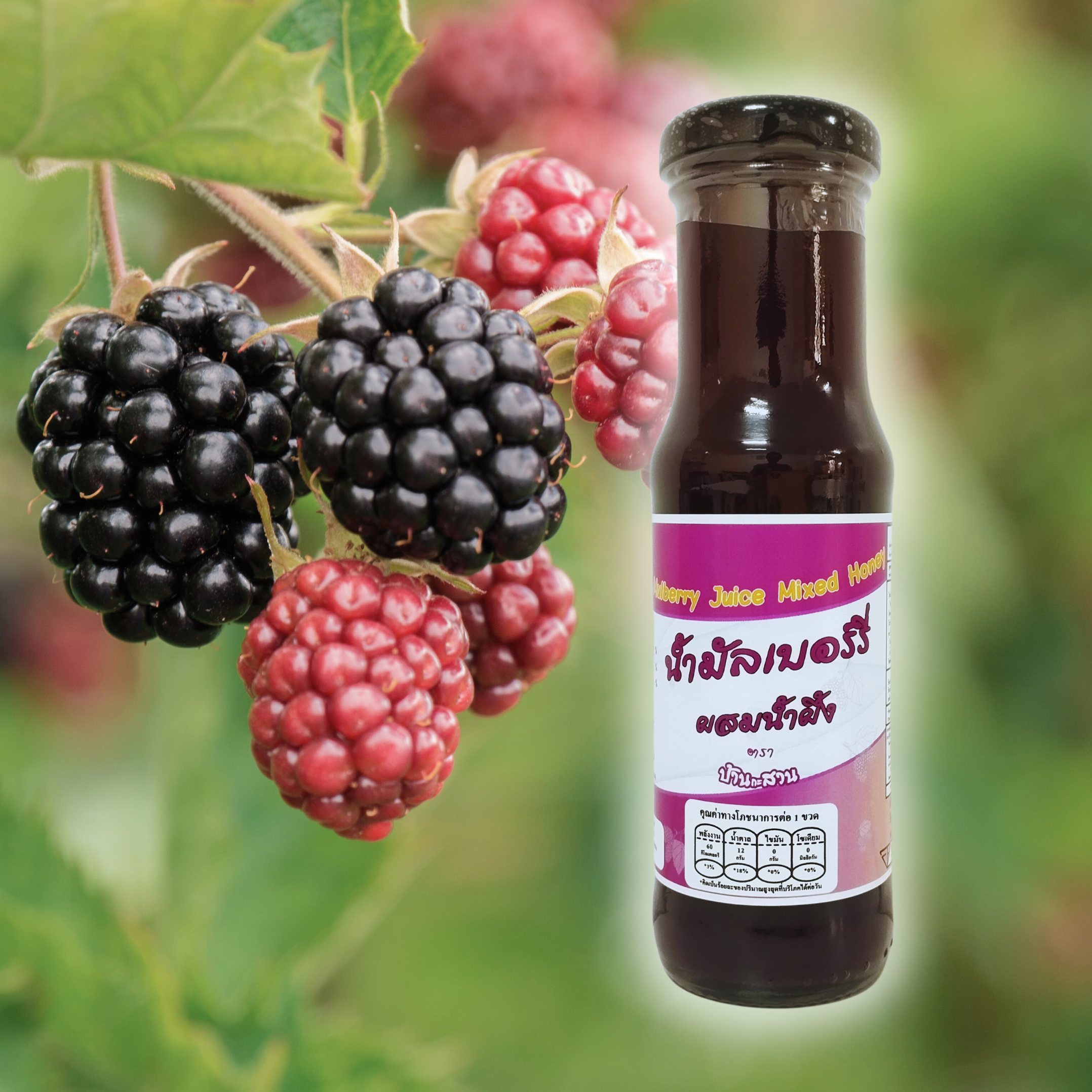 42X.Mulberry Juice Mixed Honey.png
