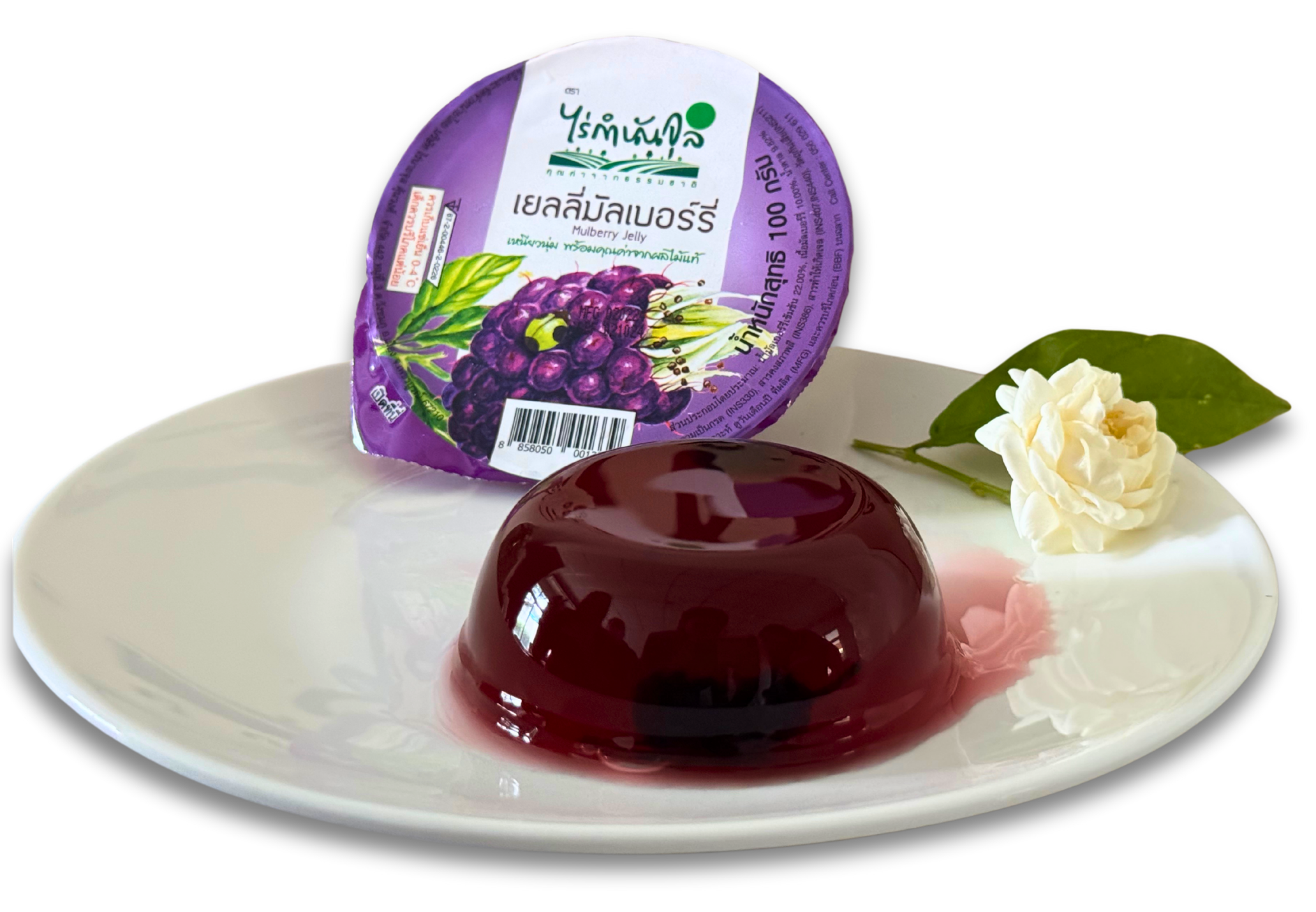 43.Mulberry Jelly.png