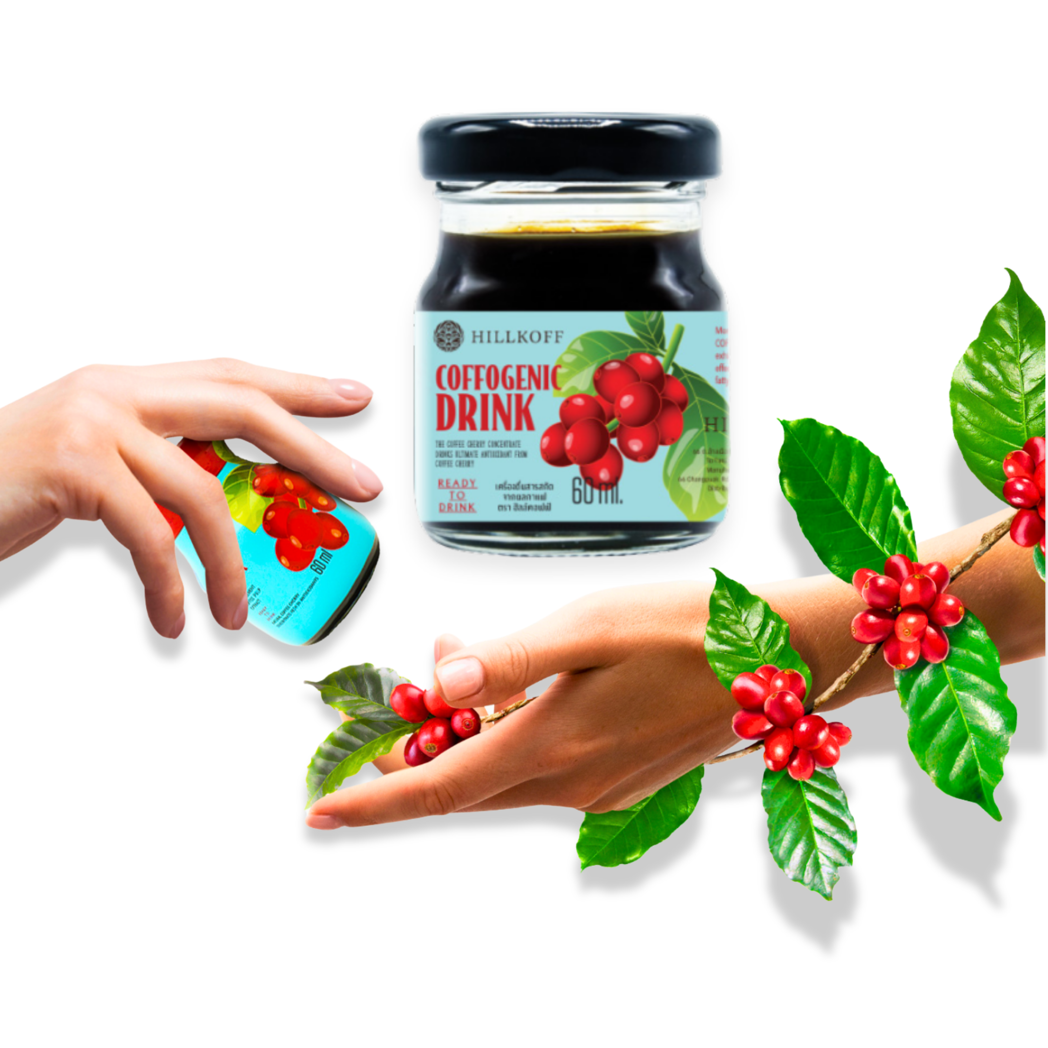 04.Coffogenic Drink.png