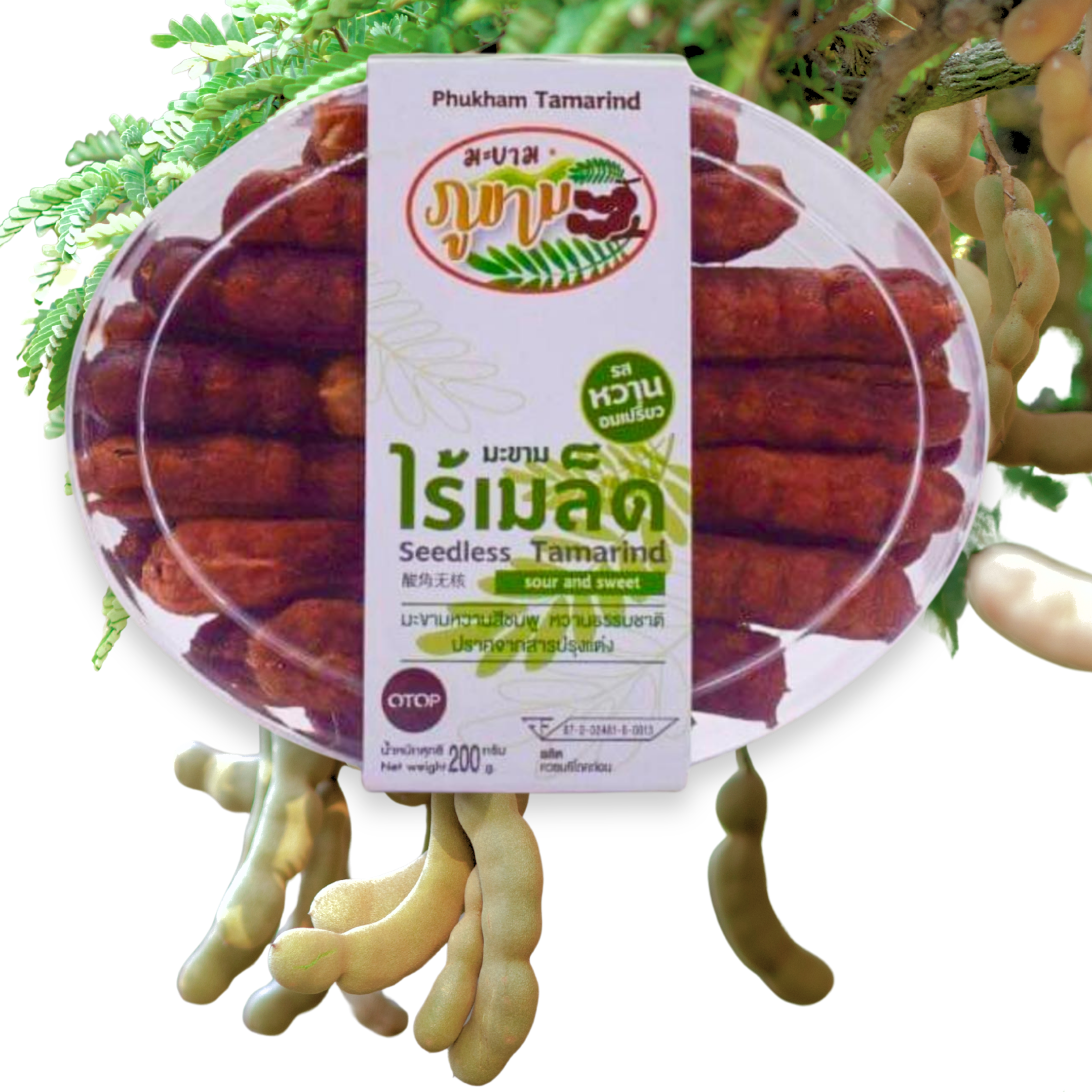 31.Seedless Tamarind sour and sweet.png