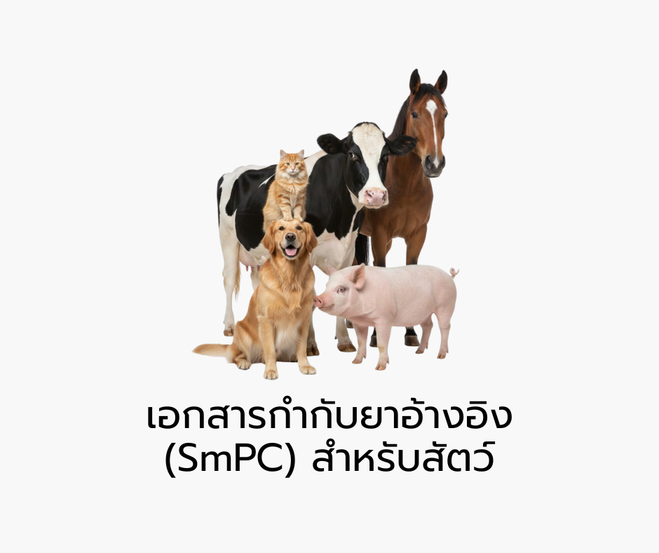 logo category
