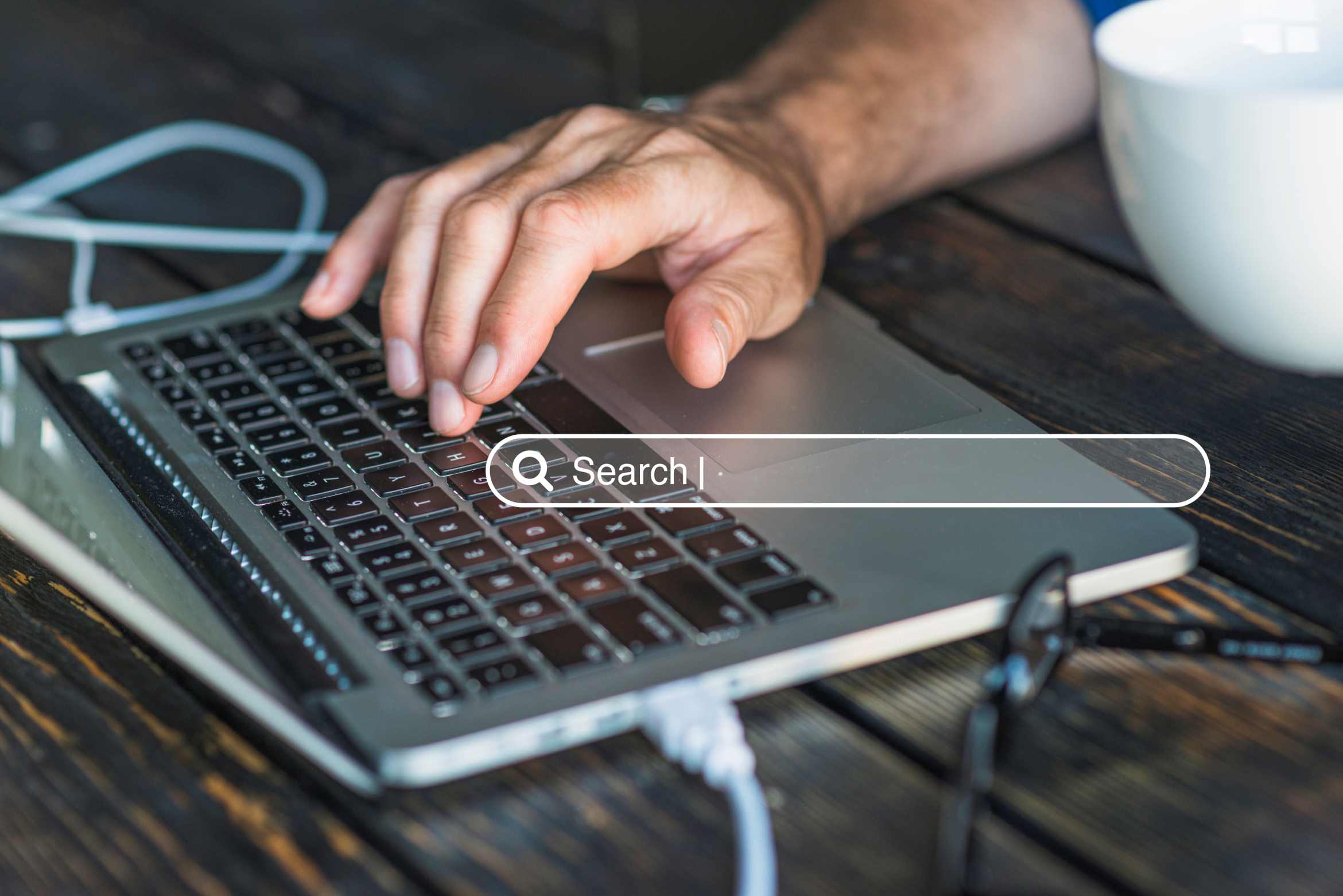 homepage-concept-with-search-bar.jpg